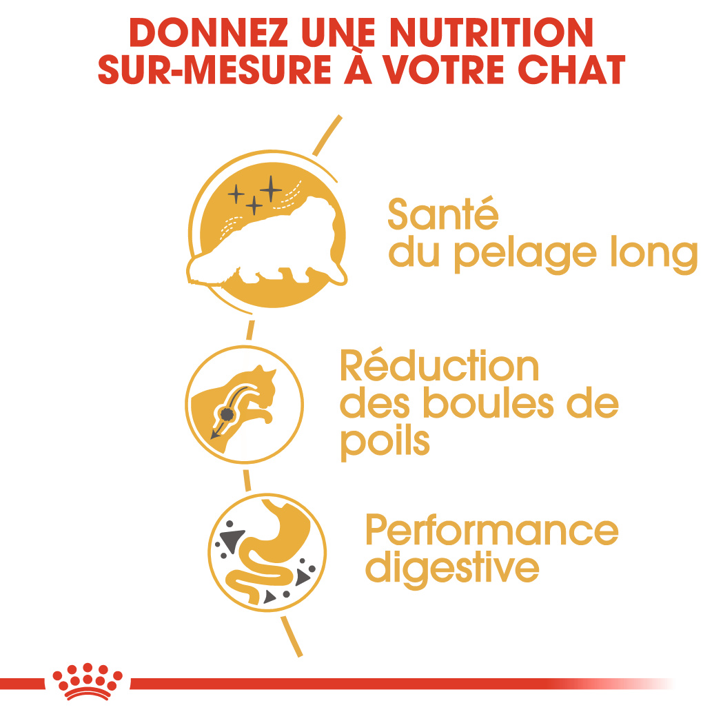 Royal Canin - Croquettes Urinary care pour chat 400 g - Gamm vert