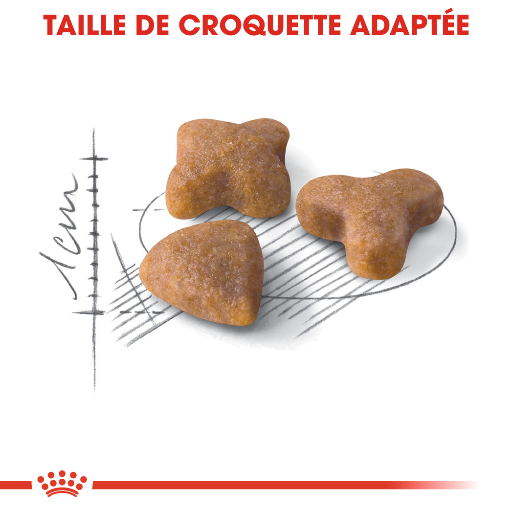 Royal Canin - Croquettes Urinary care pour chat 400 g - Jardiland