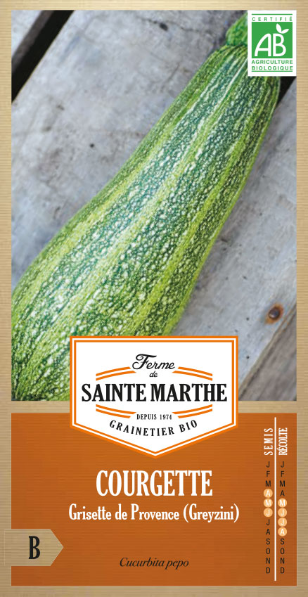 COURGETTE VERTE PETITE D'ALGER AB