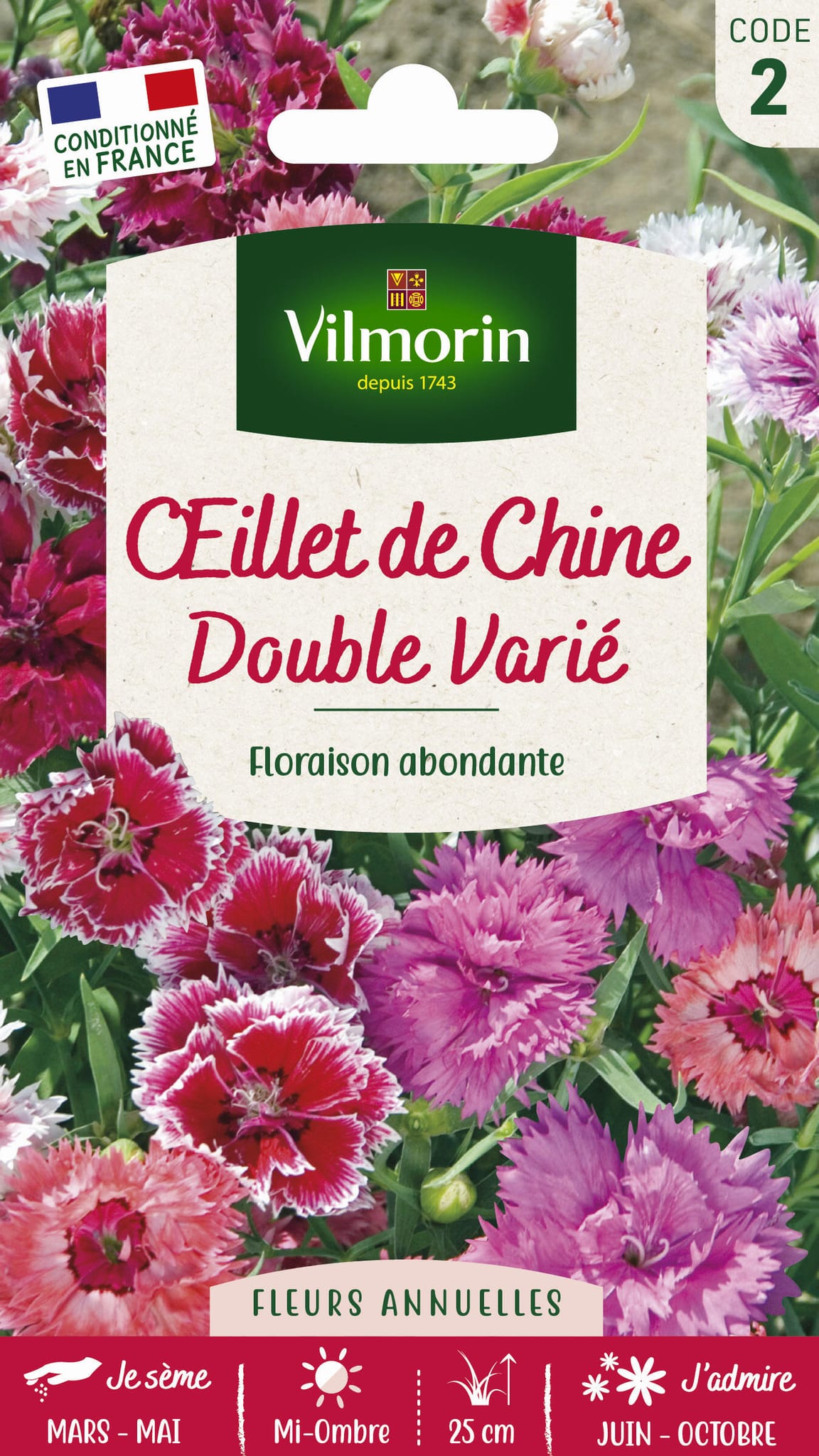 Oeillet de chine double varie série 2 sachet graines 1,5 g - Vilmorin
