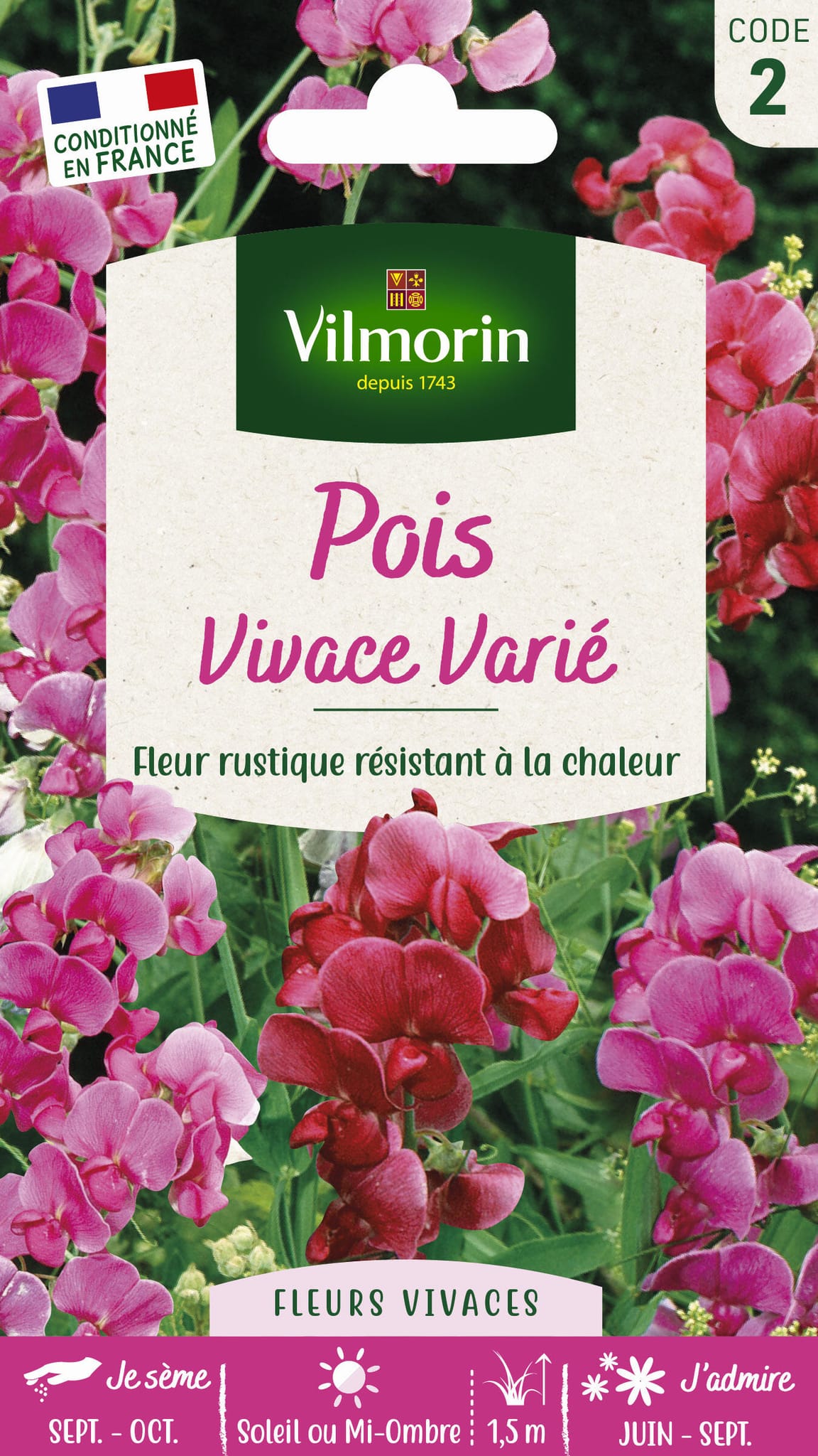 Pois vivace varie série 2 sachet graines 2 g - Vilmorin