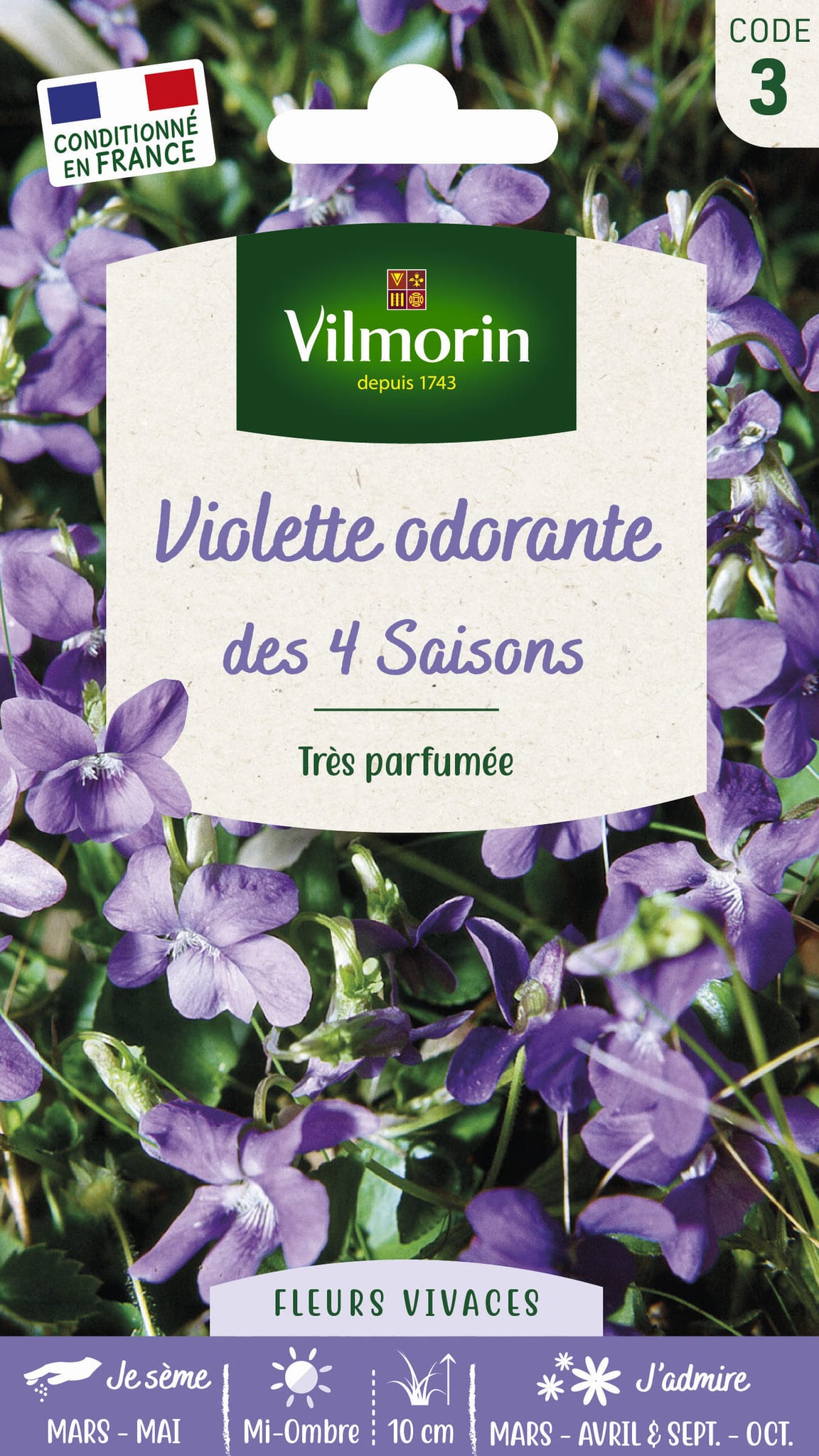 Violette des 4 saisons odorante série 3 sachet graines 1 g - Vilmorin