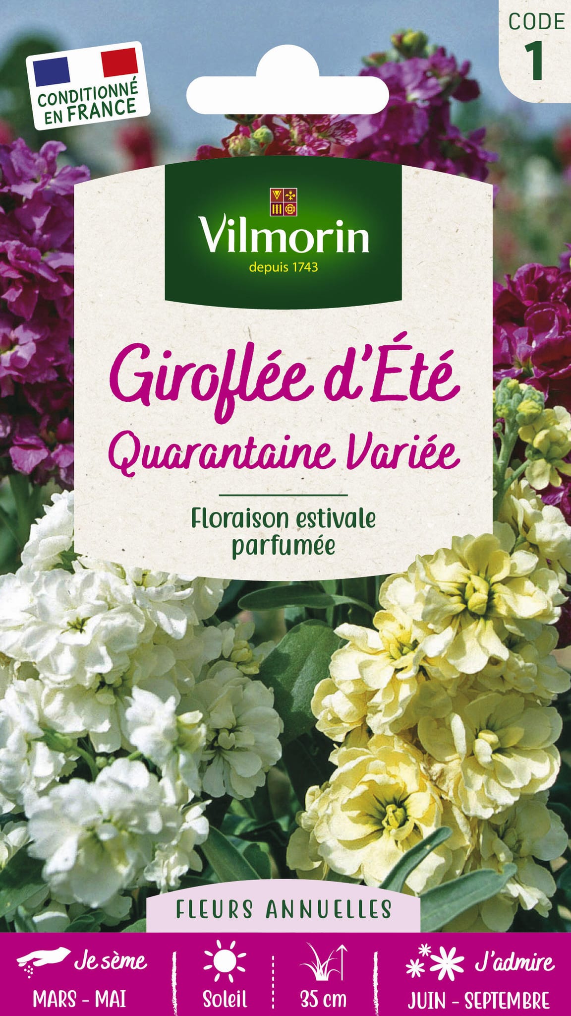 Giroflée quarantaine a grandes fleurs variées série 1 sachet graines 0,5 g - Vilmorin
