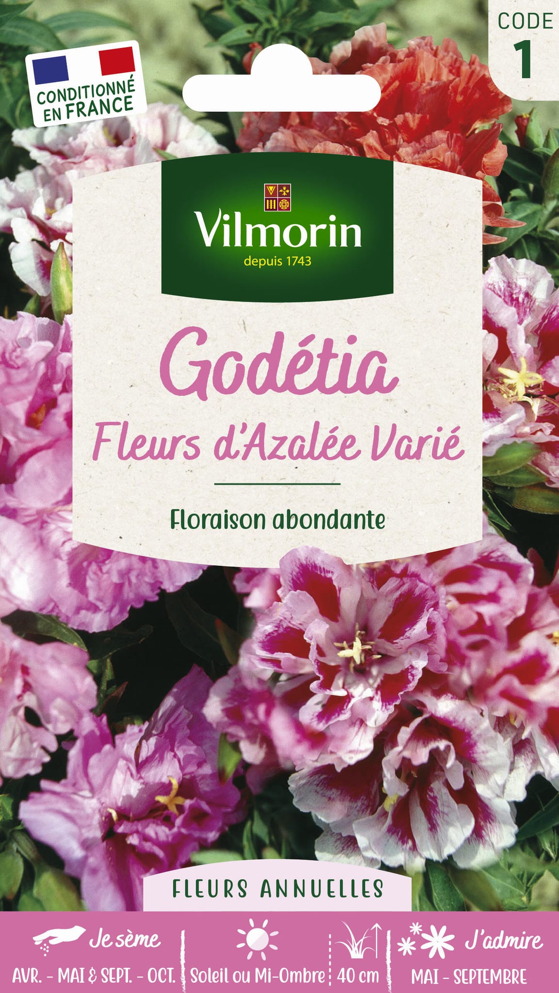 Godetia double a fleur d azalée varie série 1 sachet graines 1,5 g - Vilmorin