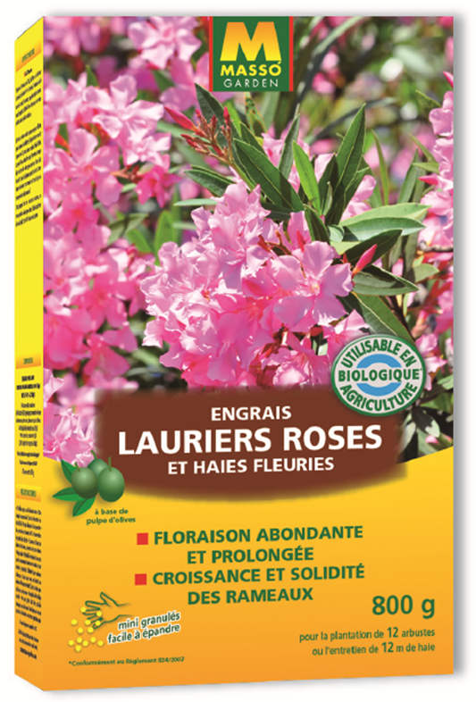 Laurier-rose : plantation, culture et entretien - Jardiland