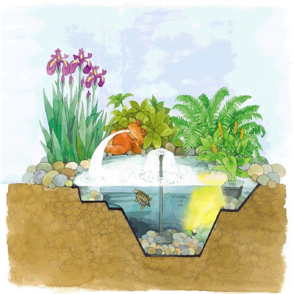 Comment installer un bassin préformé ? - Promesse de Fleurs