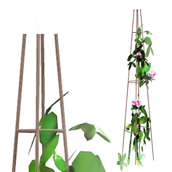 Tuteur pour plantes grimpantes, en acier H. 180 cm Vitis In Situ