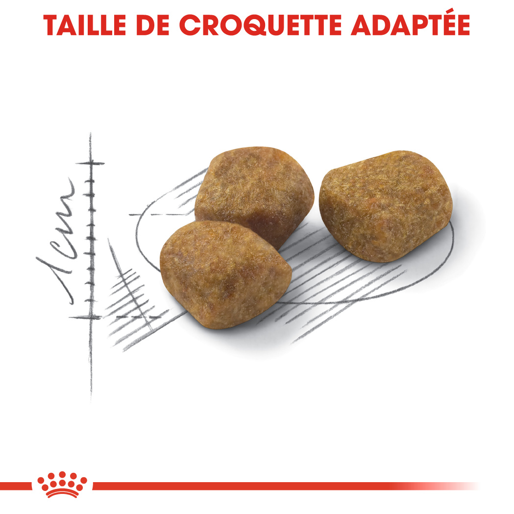 Royal Canin - Croquettes Urinary care pour chat 400 g - Gamm vert