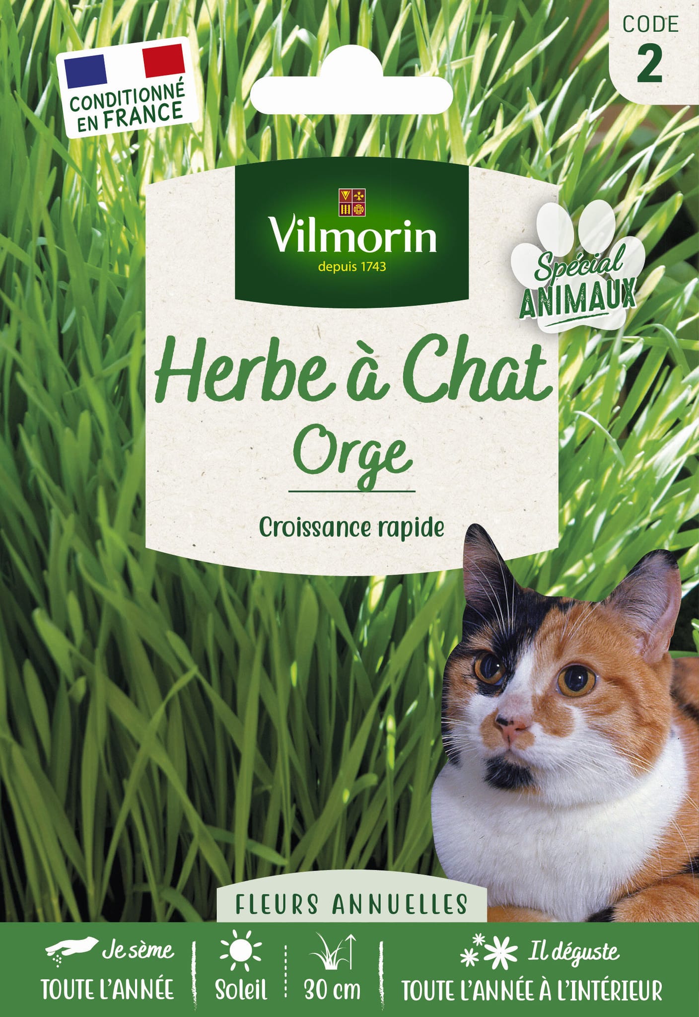Herbe a chat orge grand modèle série 2 sachet graines 30 g - Vilmorin