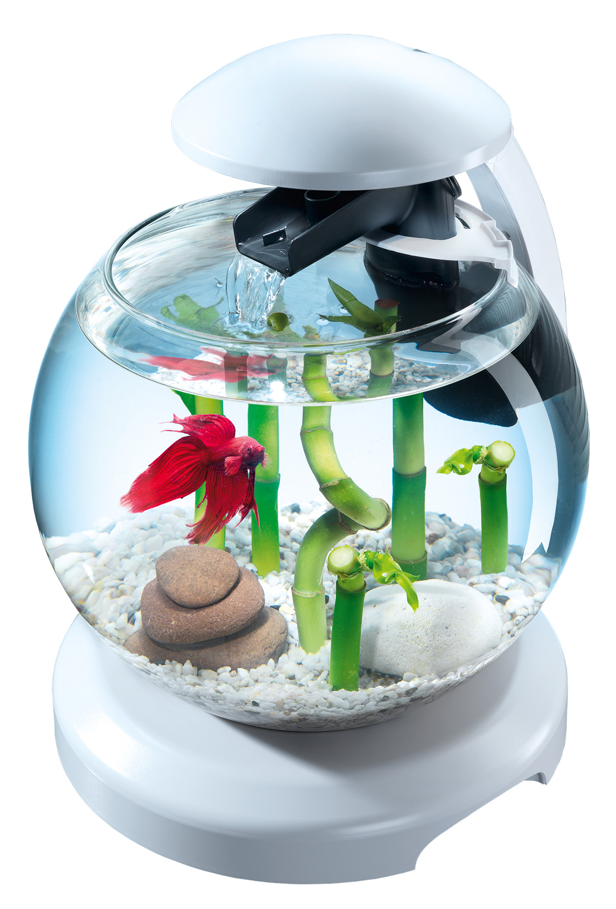 Poisson en verre pour aquarium réservoir céramique disccondensateur eau plante  vivante aquarium CO2