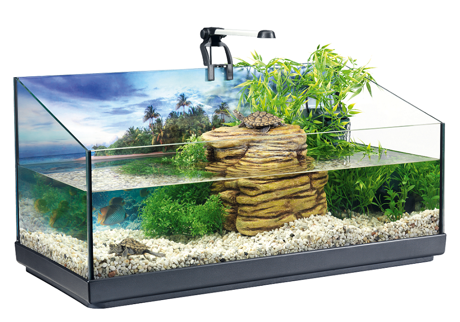 Rypet Kit de démarrage pour aquarium de tortue pour bébé – Terrariums pour  reptiles, habitat de tortue avec lampe UV, filtre à eau, roches, petites