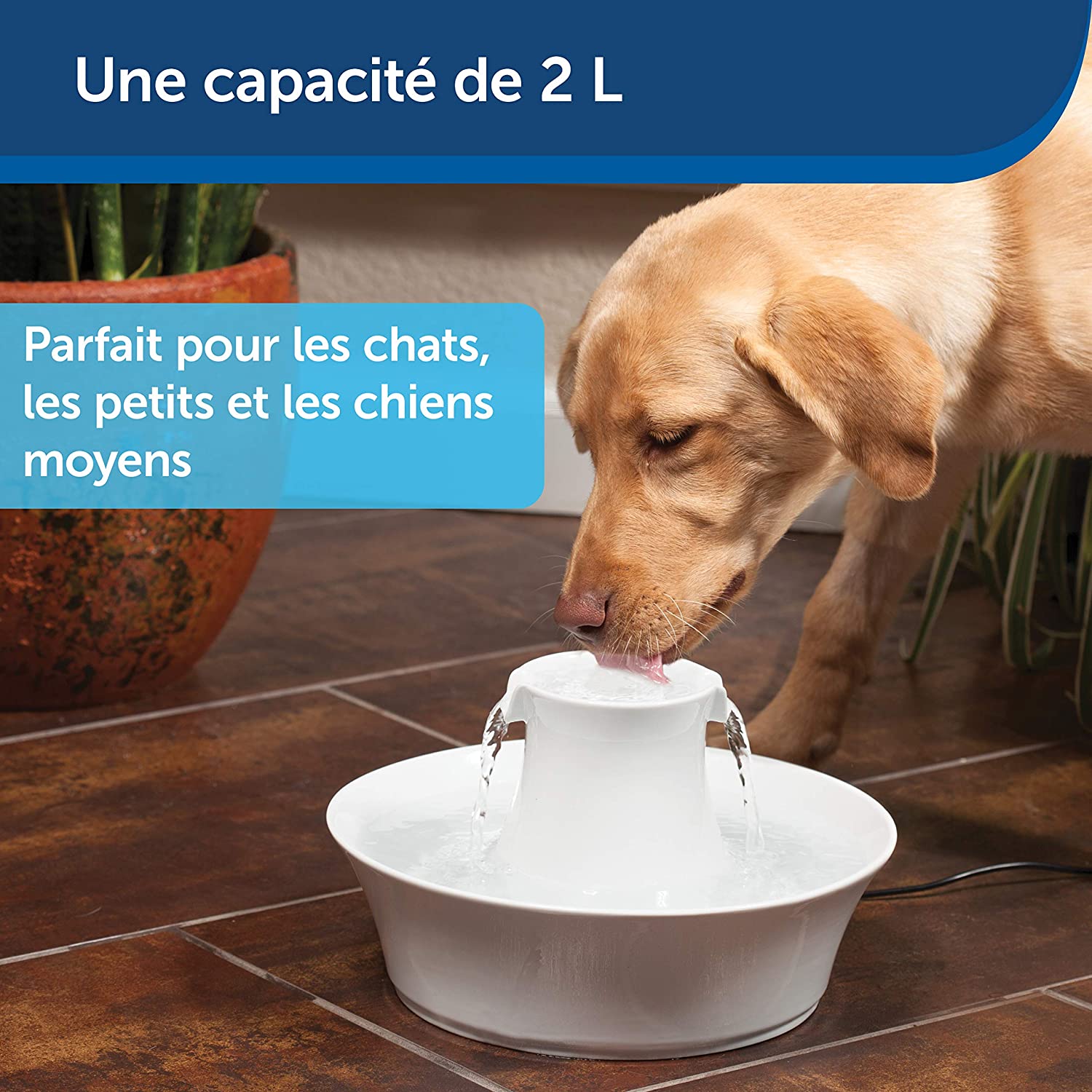 Pets Pride Fontaine chat & chien - Fontaine à eau 3L - Pompe céramique - Fontaine  chat