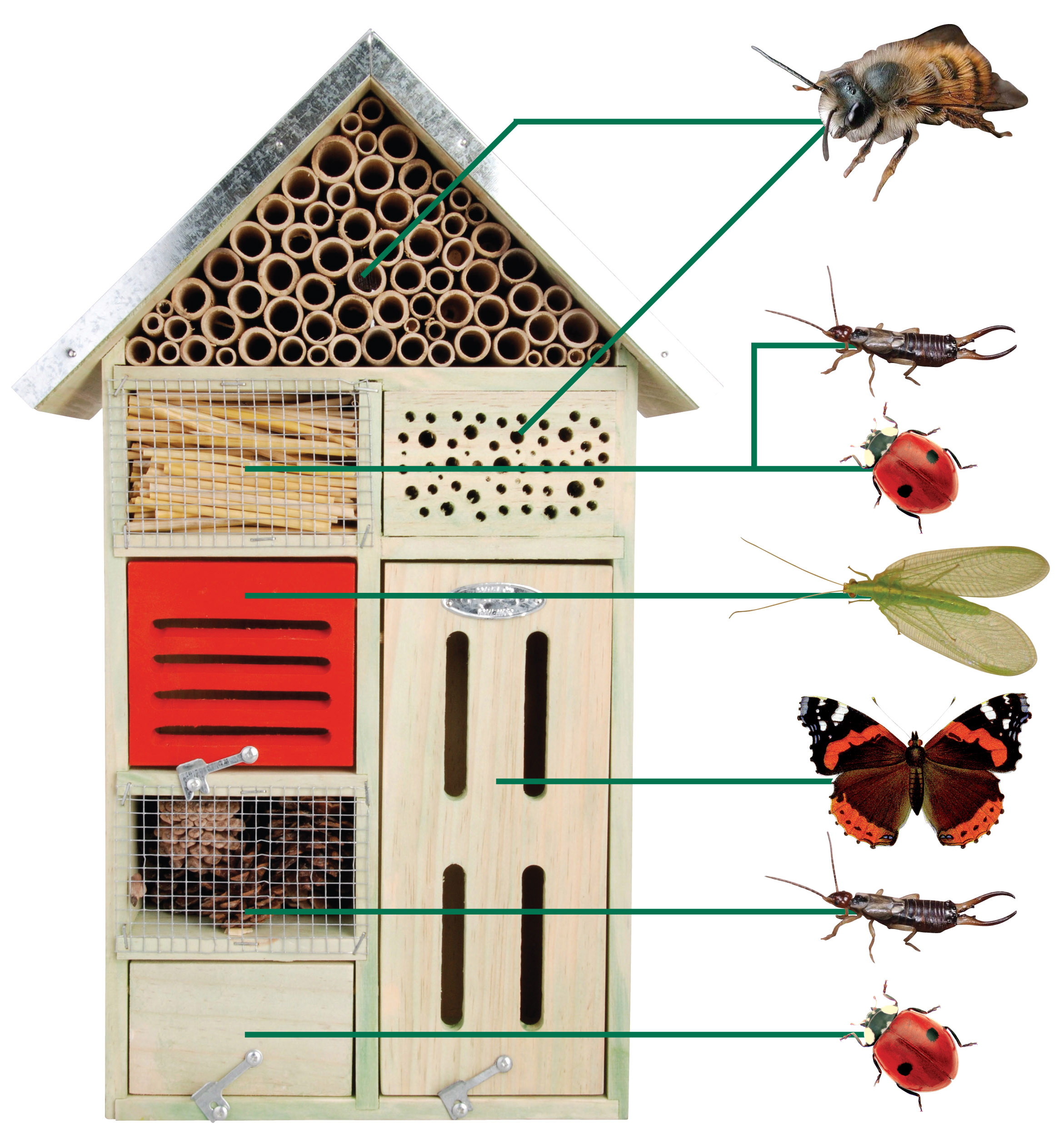 Hôtel à insectes pour jardin, cour, balcon ou terrasse - Petit [Royal  Gardineer]