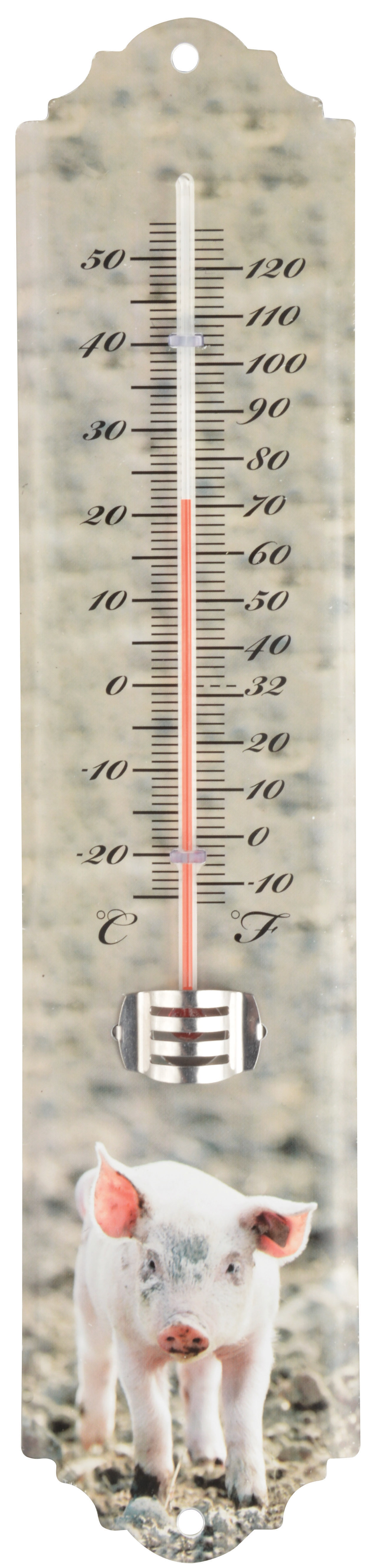 Thermomètre animaux de la ferme 6,8x1,3x29,6 cm : Autour de la