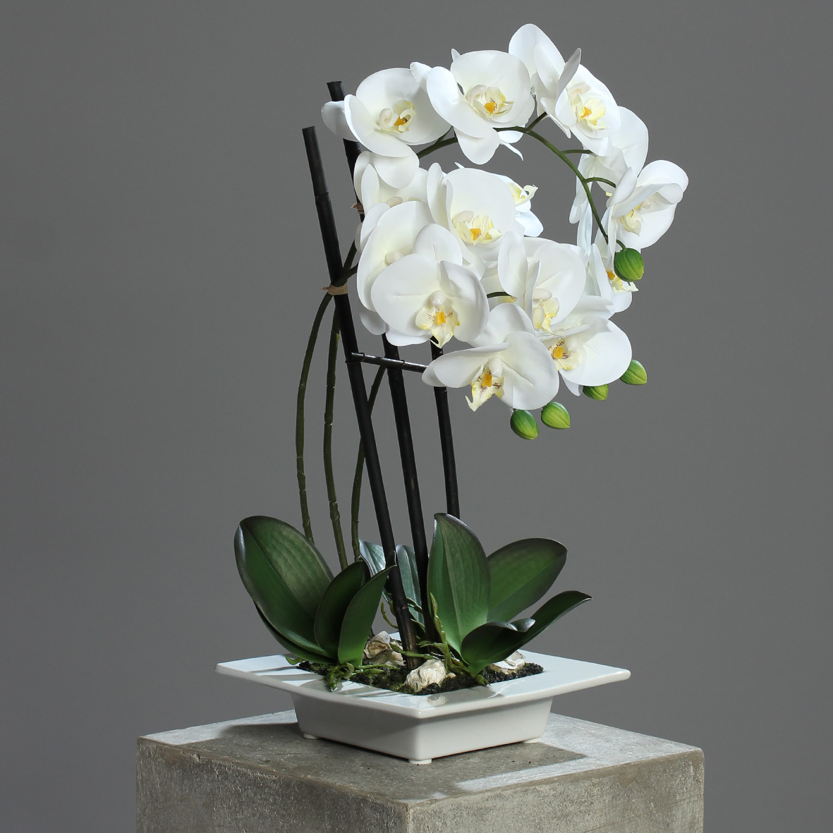 Phalaenopsis artificielle blanche de 105 cm, Orchidées artificielles