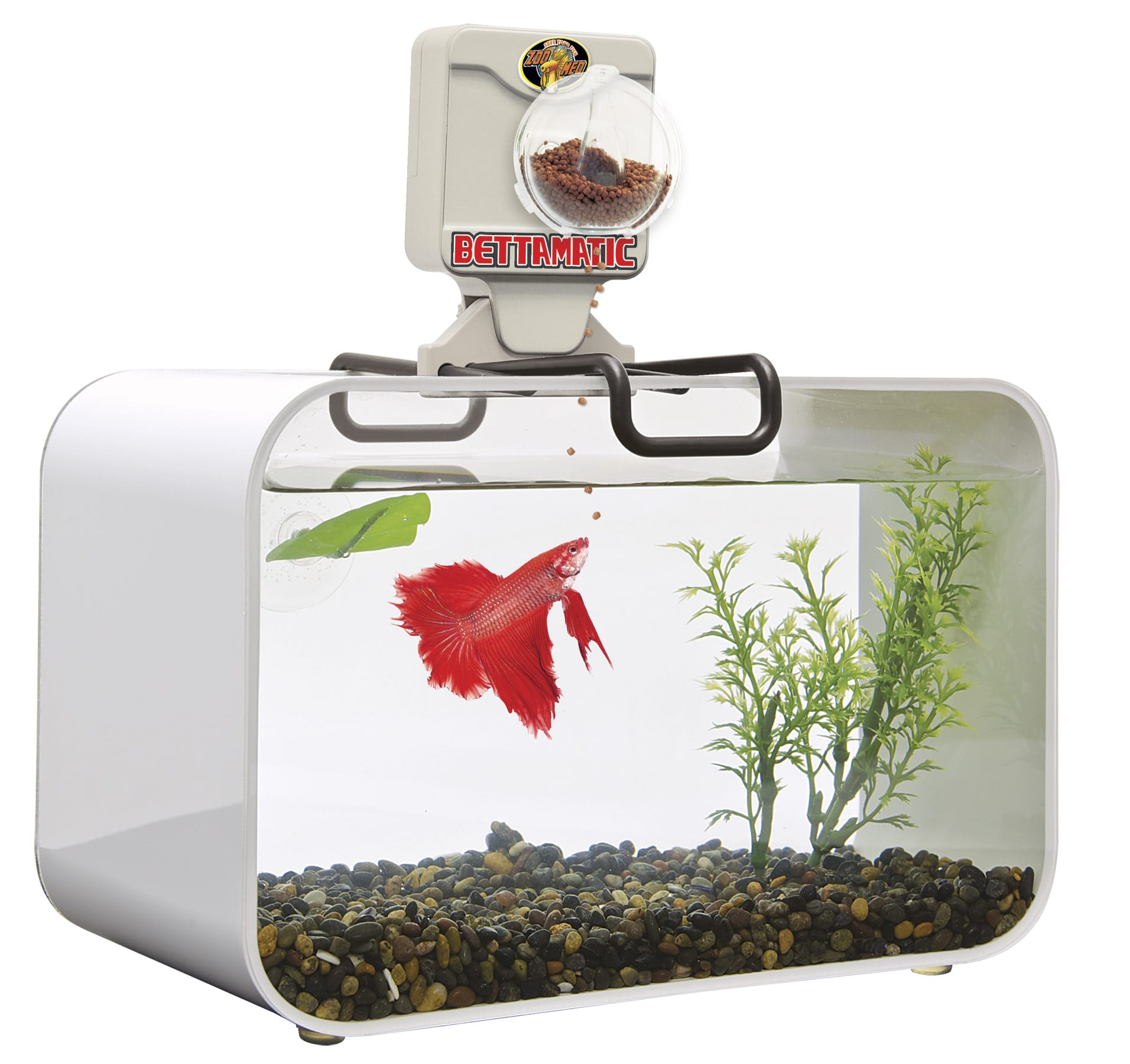 Pince à Algues Magnétique Pour Aquarium - Distributeur Nourriture Poissons, Tortues, Crevettes - Eau Douce Et Salée