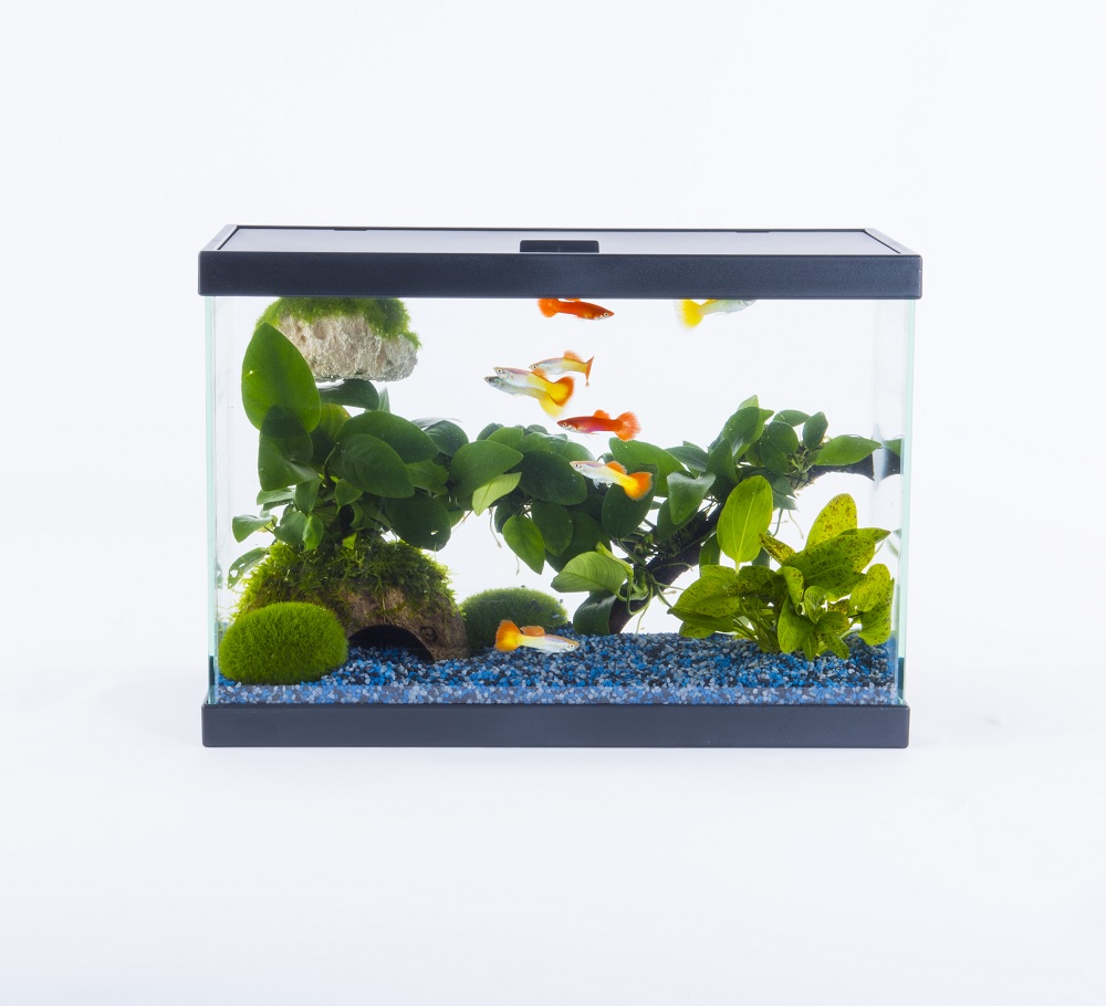 Inwa - Filtre intérieur pour aquarium Pur 1000 - Jardiland