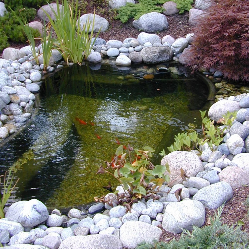 Bassin de jardin préformé - Start