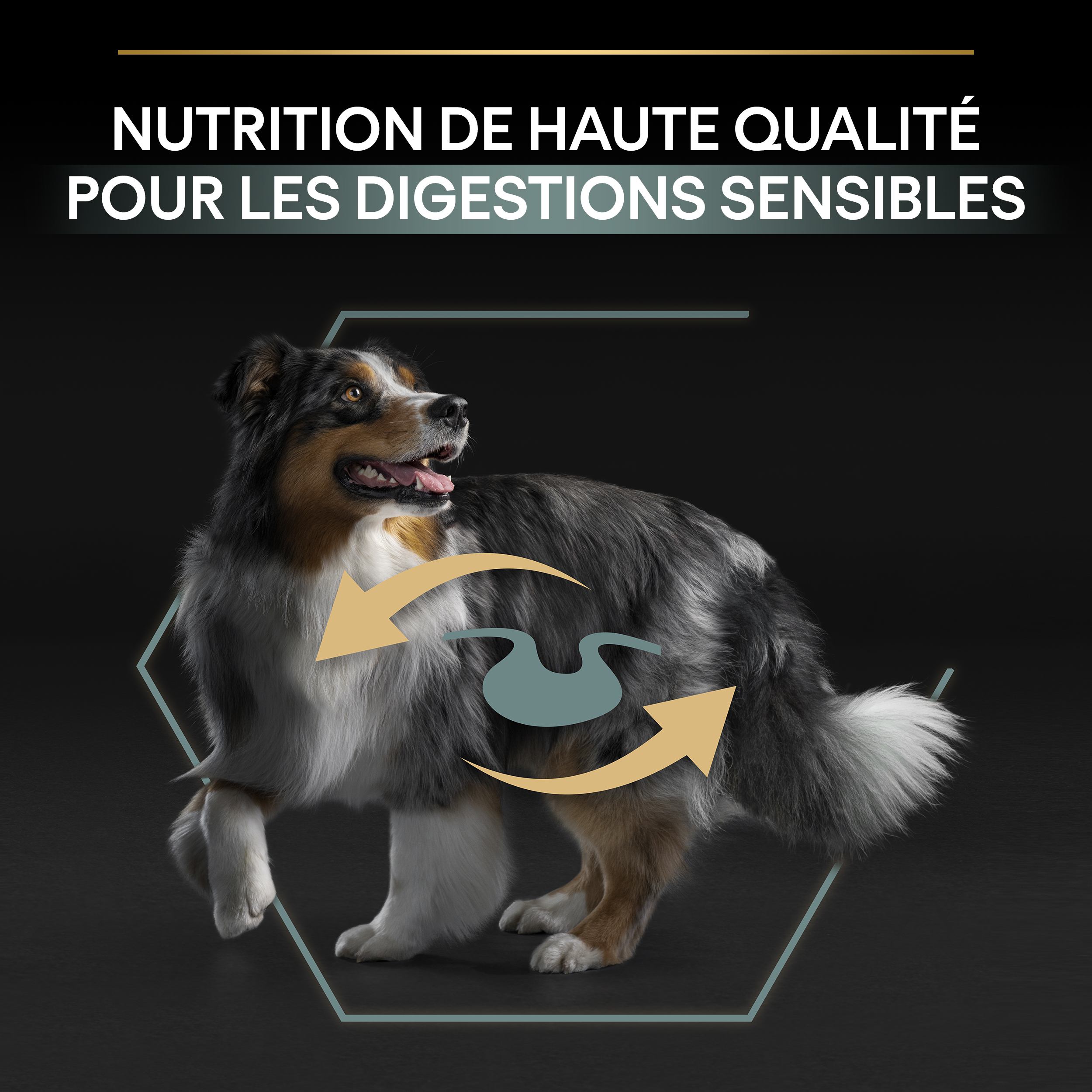 Pro Plan - Croquettes Purina Puppy Sensitive Digestion Agneau 3kg -  Jardiland