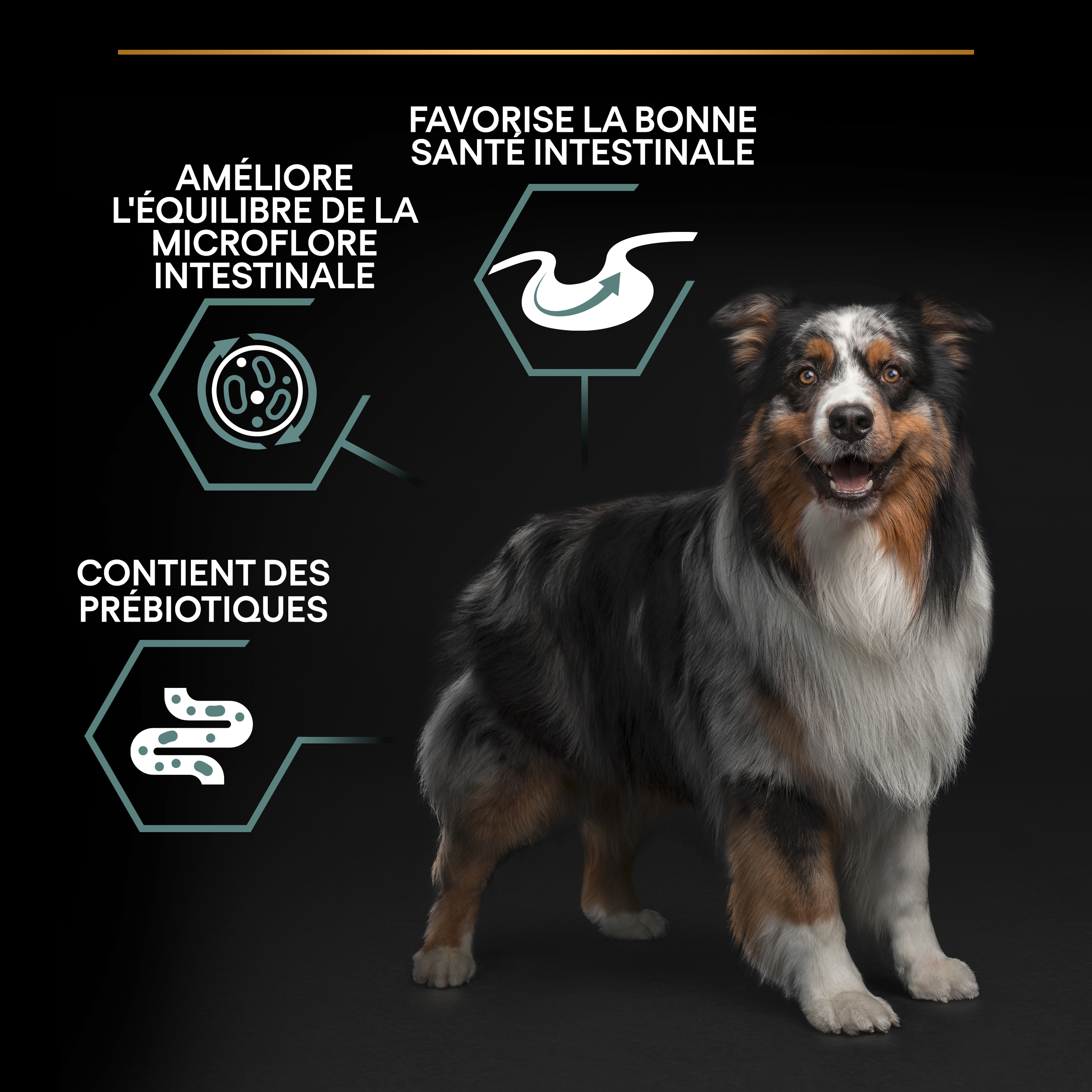 Promo Pro plan croquettes pour chien “medium puppy” chez Jardiland