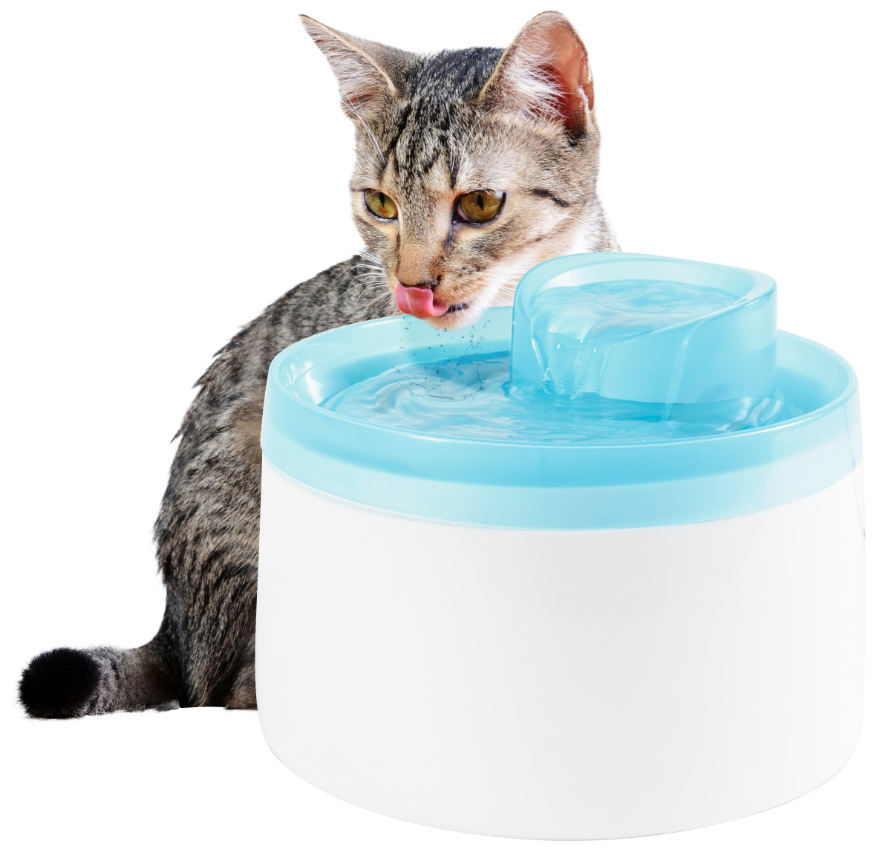 Zolux - Fontaine à eau électrique pour chat et chien - 2 litres - Jardiland
