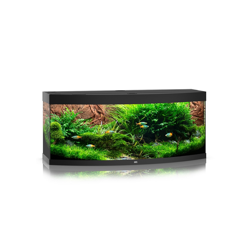 Aquarium Juwel Vision 450 Led noir L.151 x l.64 x H.64 cm - Gamm vert