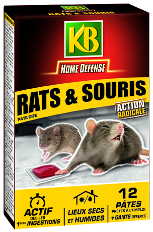 Comment lutter contre les rats ? - Gamm vert