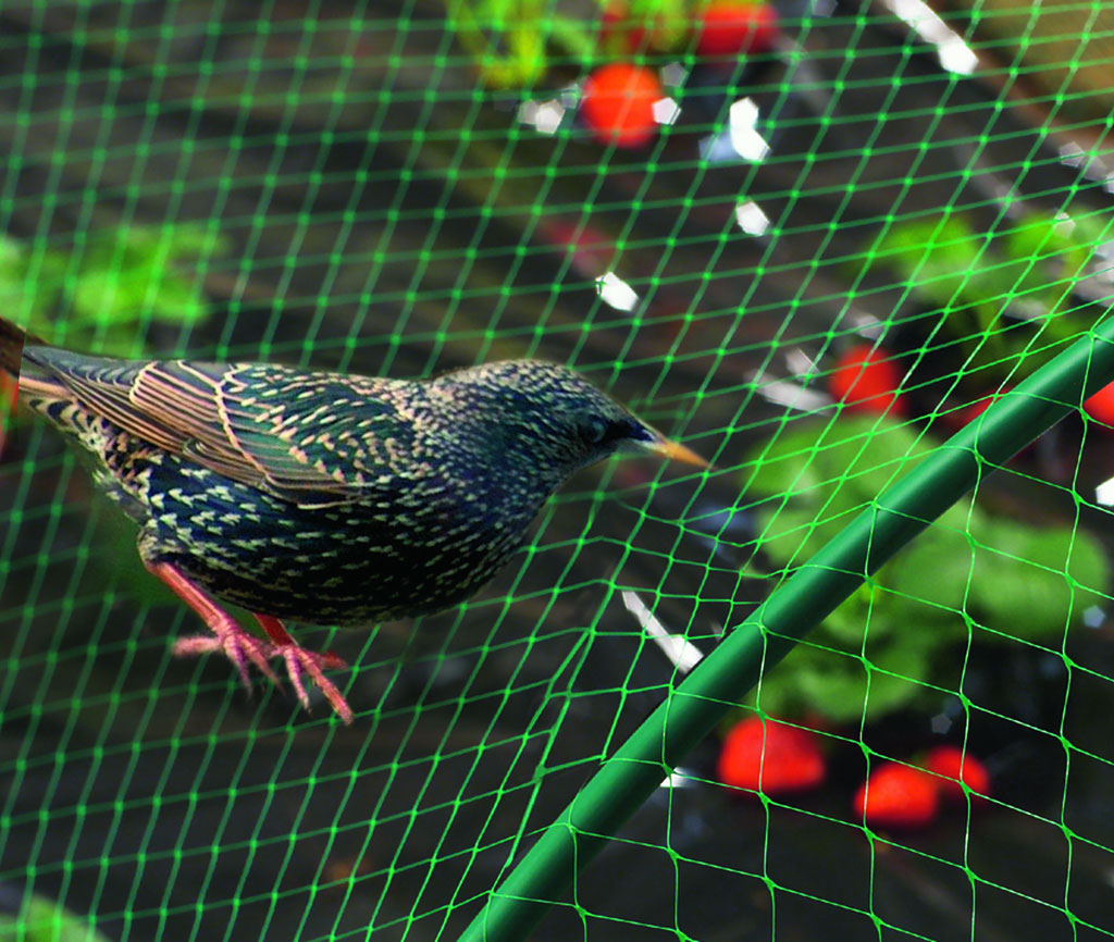 Fridja Filet de Jardin Robuste pour Oiseaux Protéger les Plantes