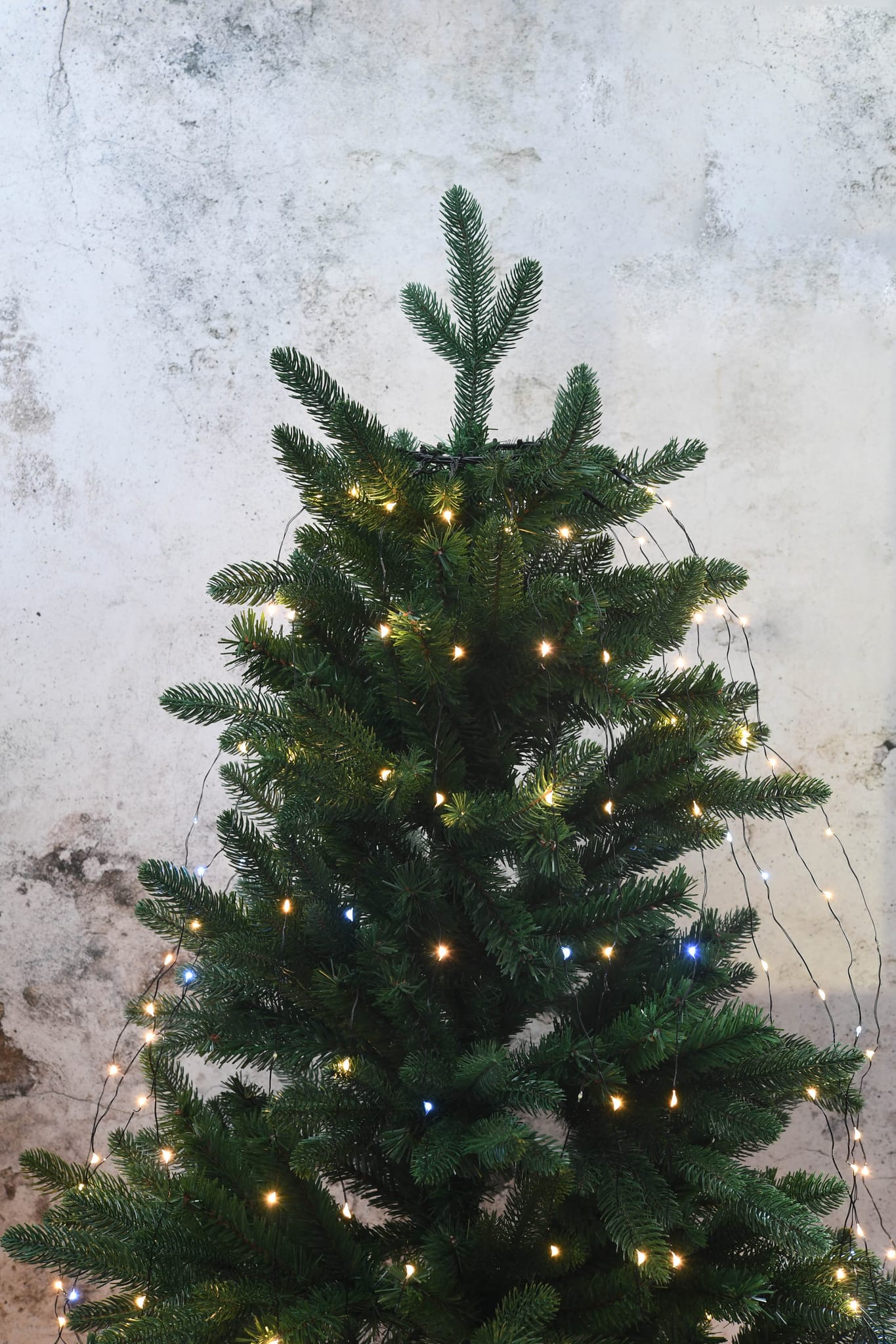 Rideau pour sapin avec 252 LEDS & 14 descentes H.1,80m