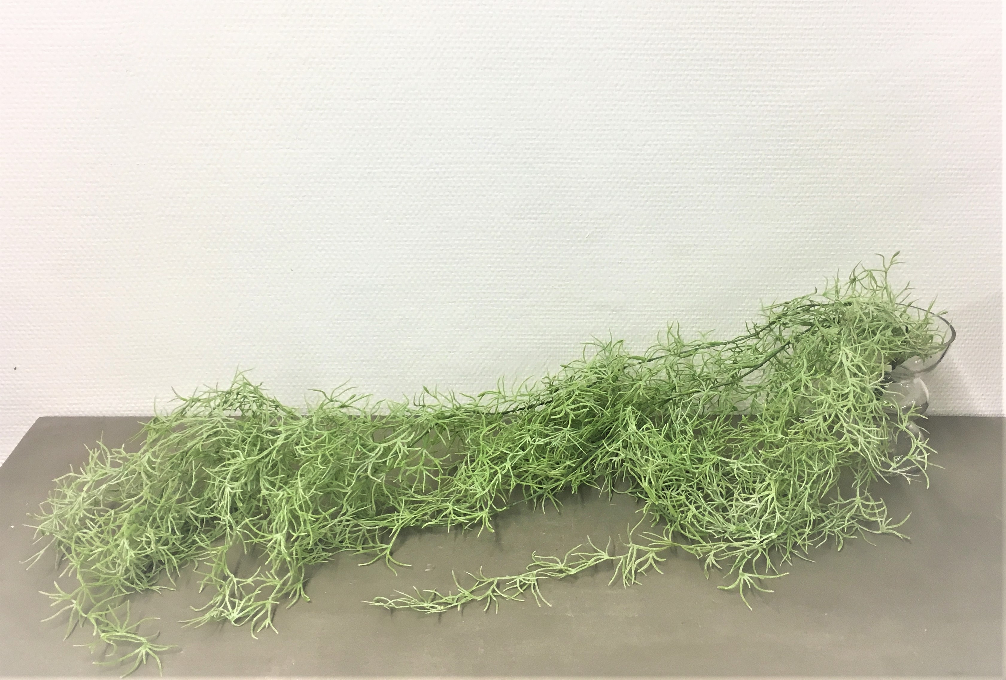 Chute de Tillandsia vert clair 90 cm - Plantes suspendues
