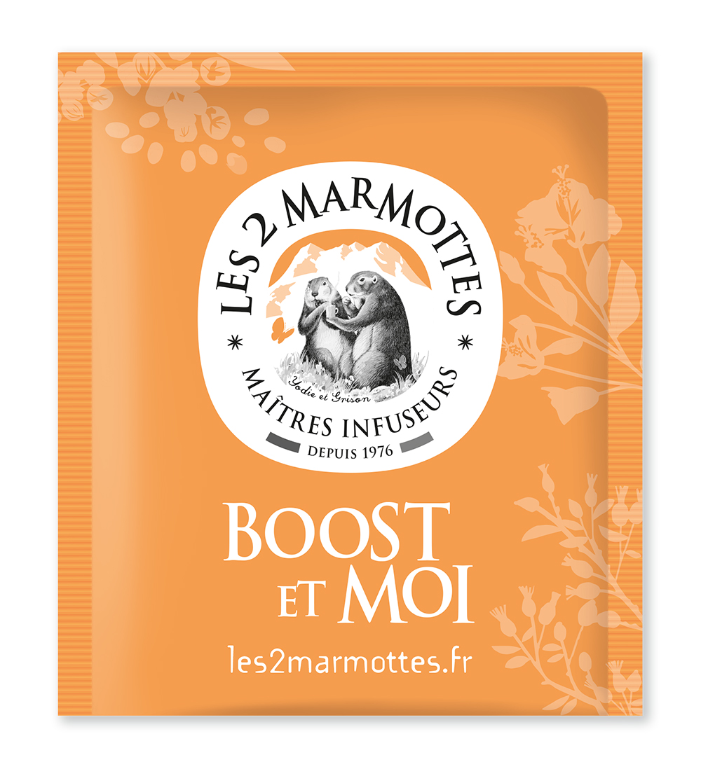 Thé Fort épicé (Les 2 Marmottes) - boîte de 30 sachets