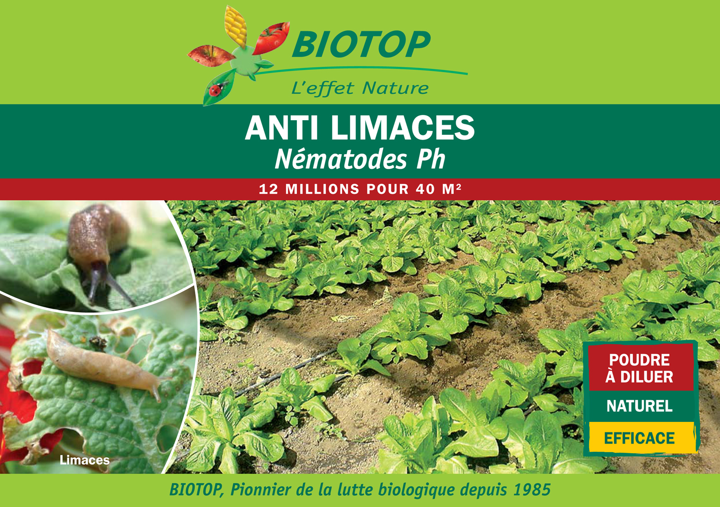 NEMATODES SF 5 millions - lutte biologique - Jardins Alternatifs