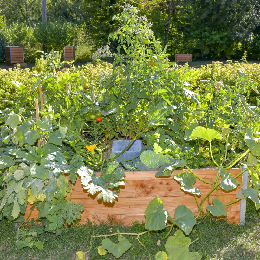 Carré potager en bois avec composteur Keyhole garden - Jardiland