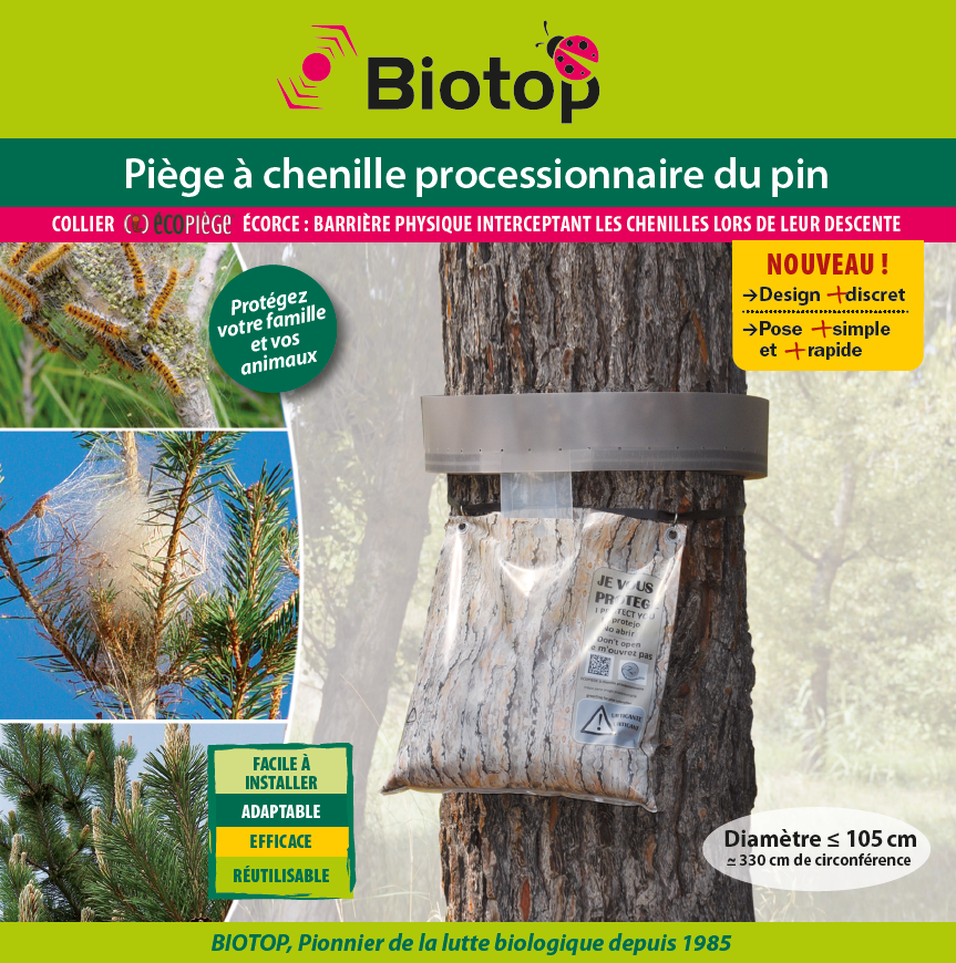 Attrape-insecte portable antiparasitaire, pince écologique, pièges de  jardin sur le terrain, fournitures de jardin, lutte contre les tortues,  lézard