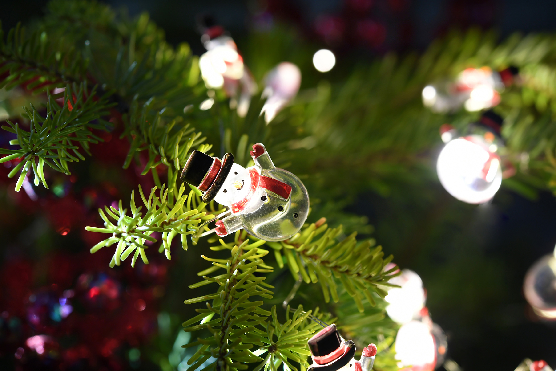 Guirlandes et décorations de Noël - Gamm vert