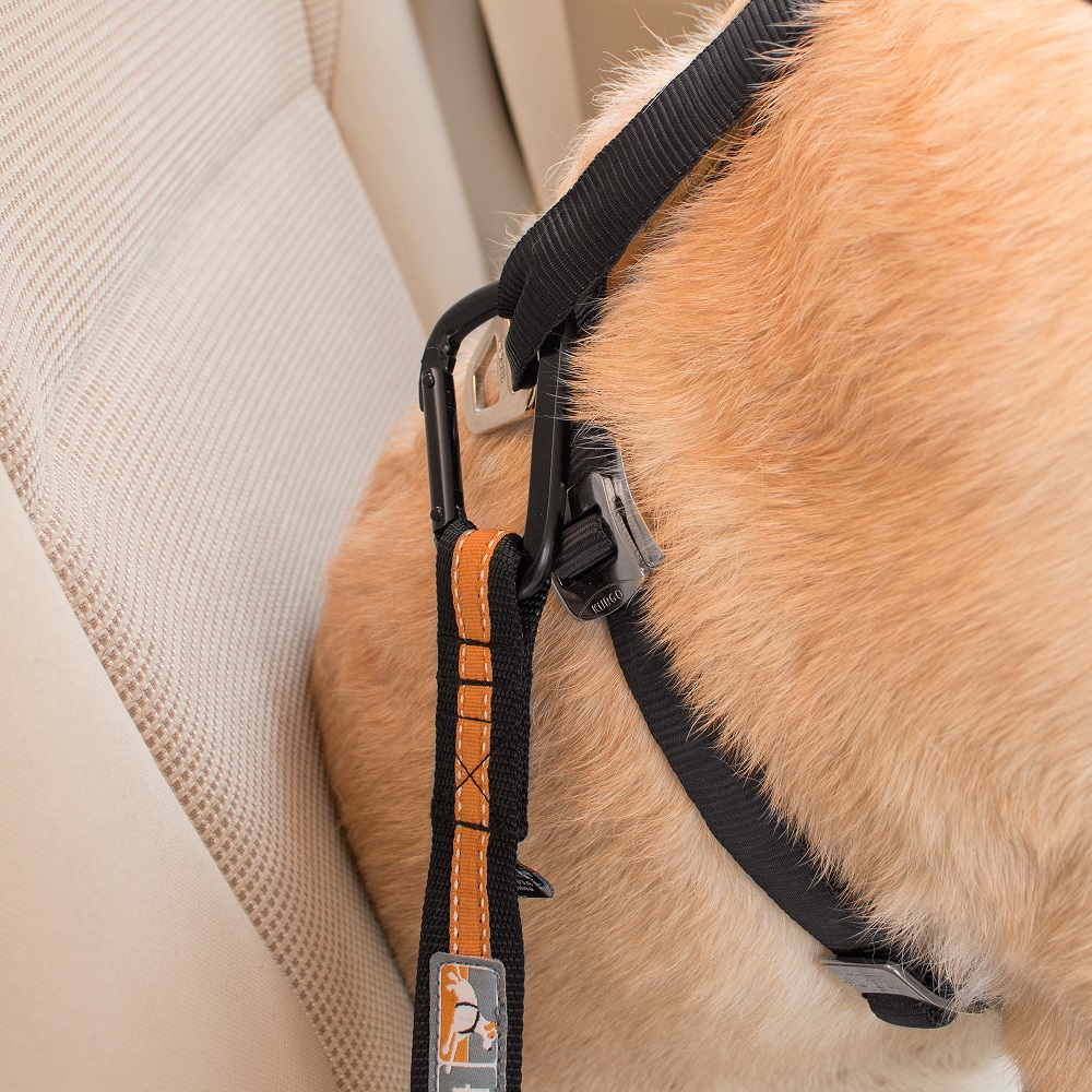 Attache Tyrolienne pour voiture pour chien Kurgo – Orange et noir