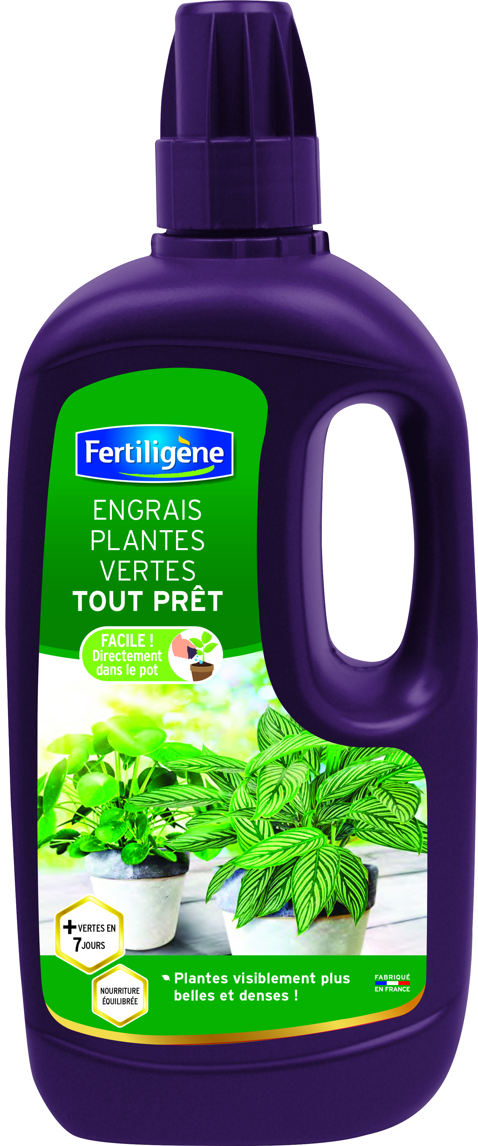 Fertiligène - Engrais plantes vertes tout prêt 1 L