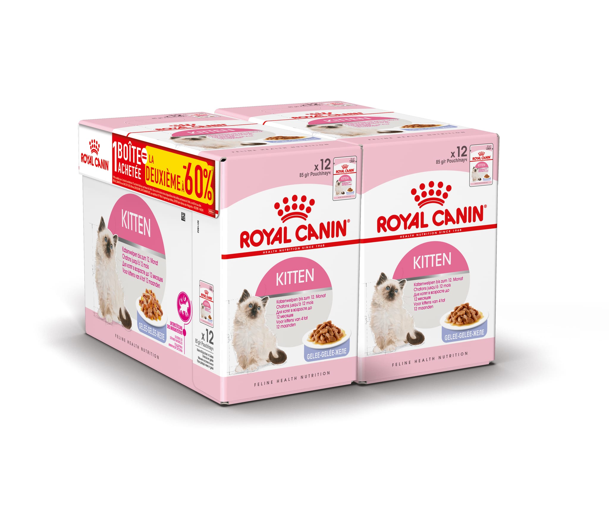 Aliment Nutritionnel Gelée Chaton – ROYAL CANIN