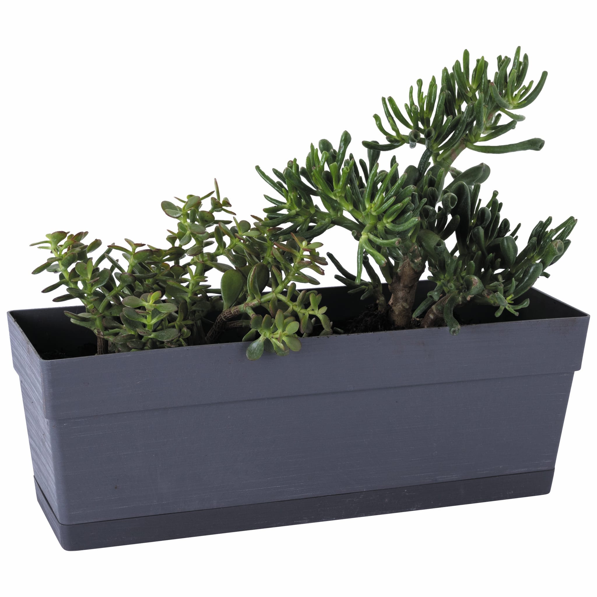 DEROMA Fioriera Rettangolare Con Riserva D'acqua - Trio Enjoy, 50x16x22 Cm, 28,8 L, Antracite, Resistente Al Gelo E UV