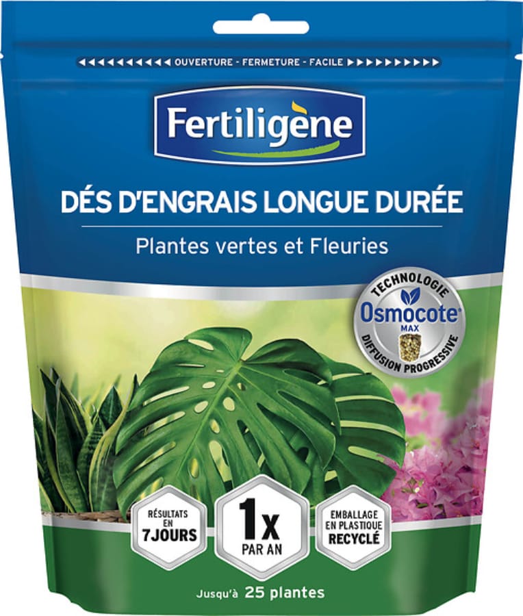 Dés d'engrais longue durée Plantes vertes et fleuries 25 dés