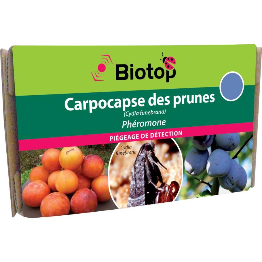 Biotop - Piège à mouches des fruits type entonnoir Mc Phail jaune - Gamm  vert