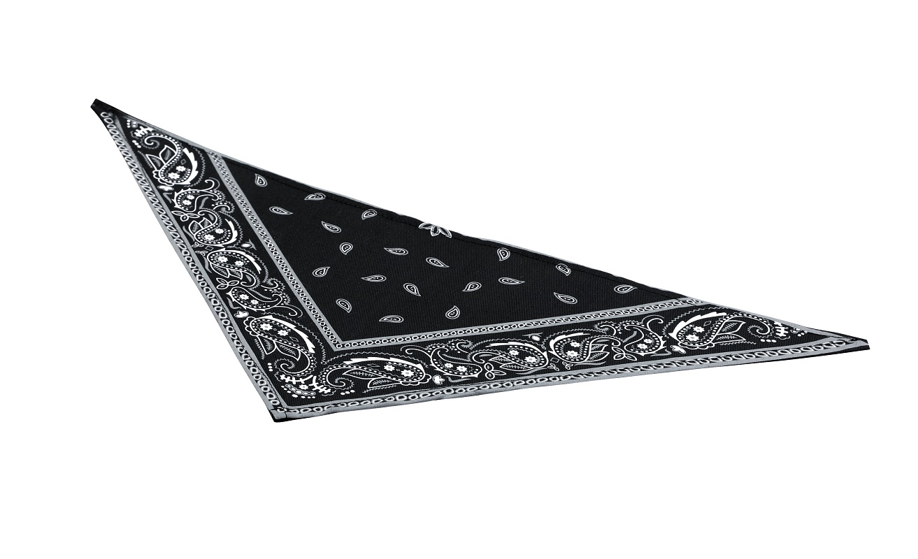 Bandana Rouge pour chien et chat Taille 2 - Jardiland