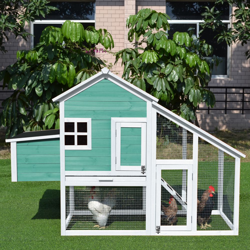 Vos poules ont-elles besoin d'une bâche de protection pour leur enclos ? -  Omlet Blog France