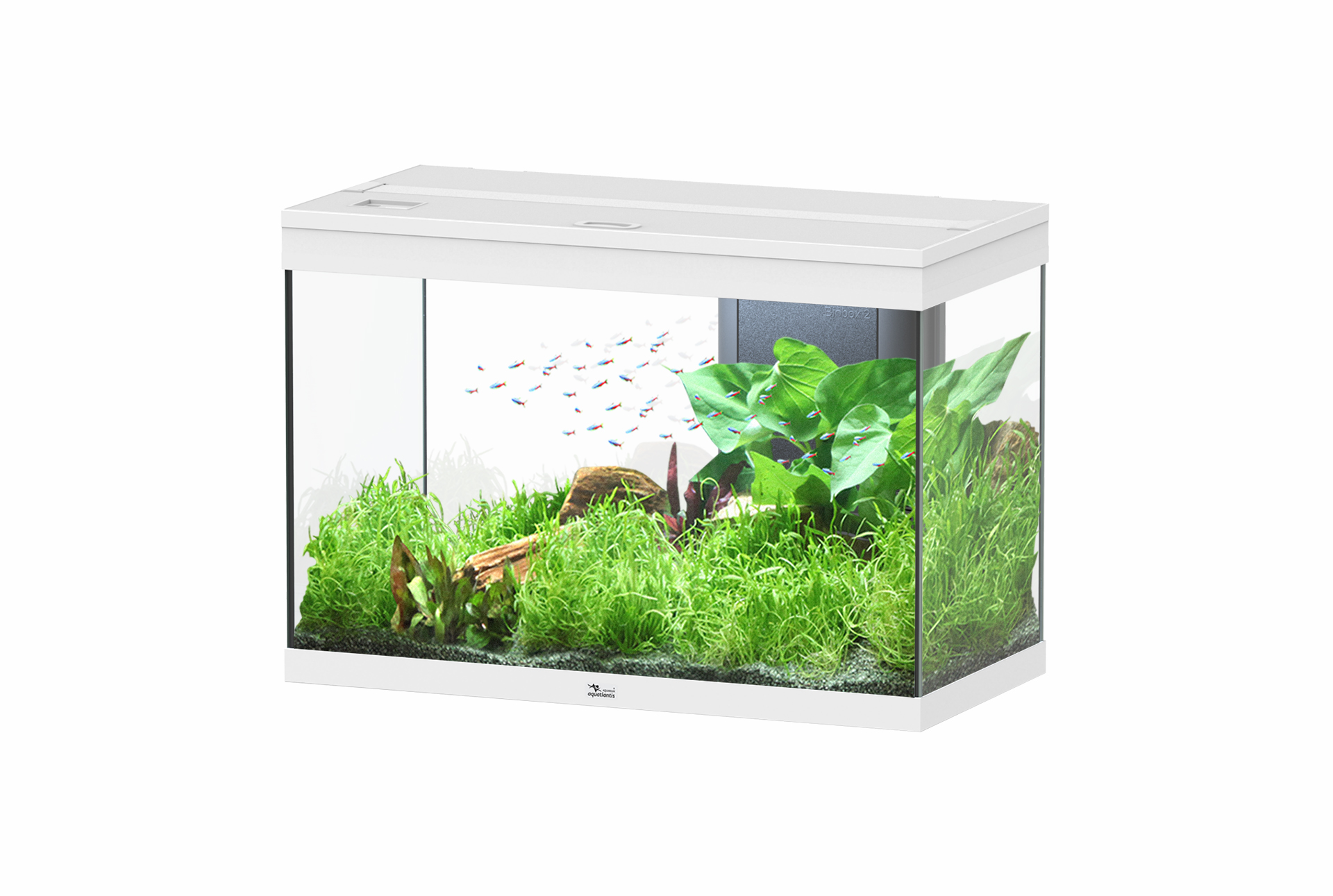 Aquarium équipé Qubiq 30 Pro blanc - 30L : Aquariums et meubles SUPERFISH  animalerie - botanic®