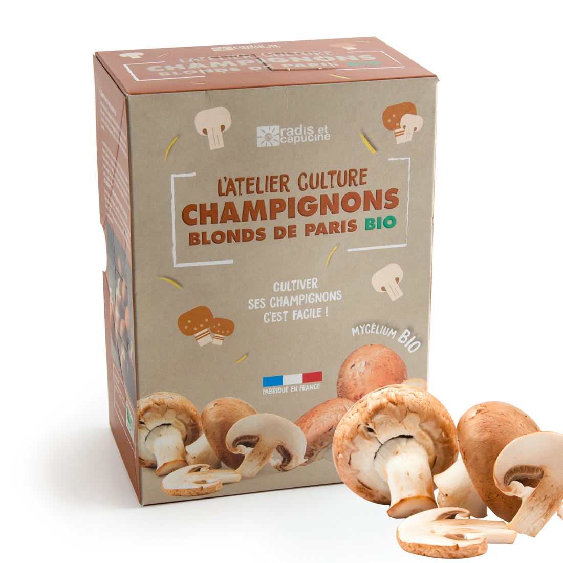Mini kit champignons de Paris - Jardiland