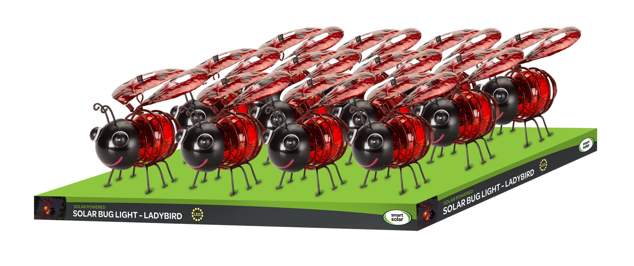 coccinelle bug light