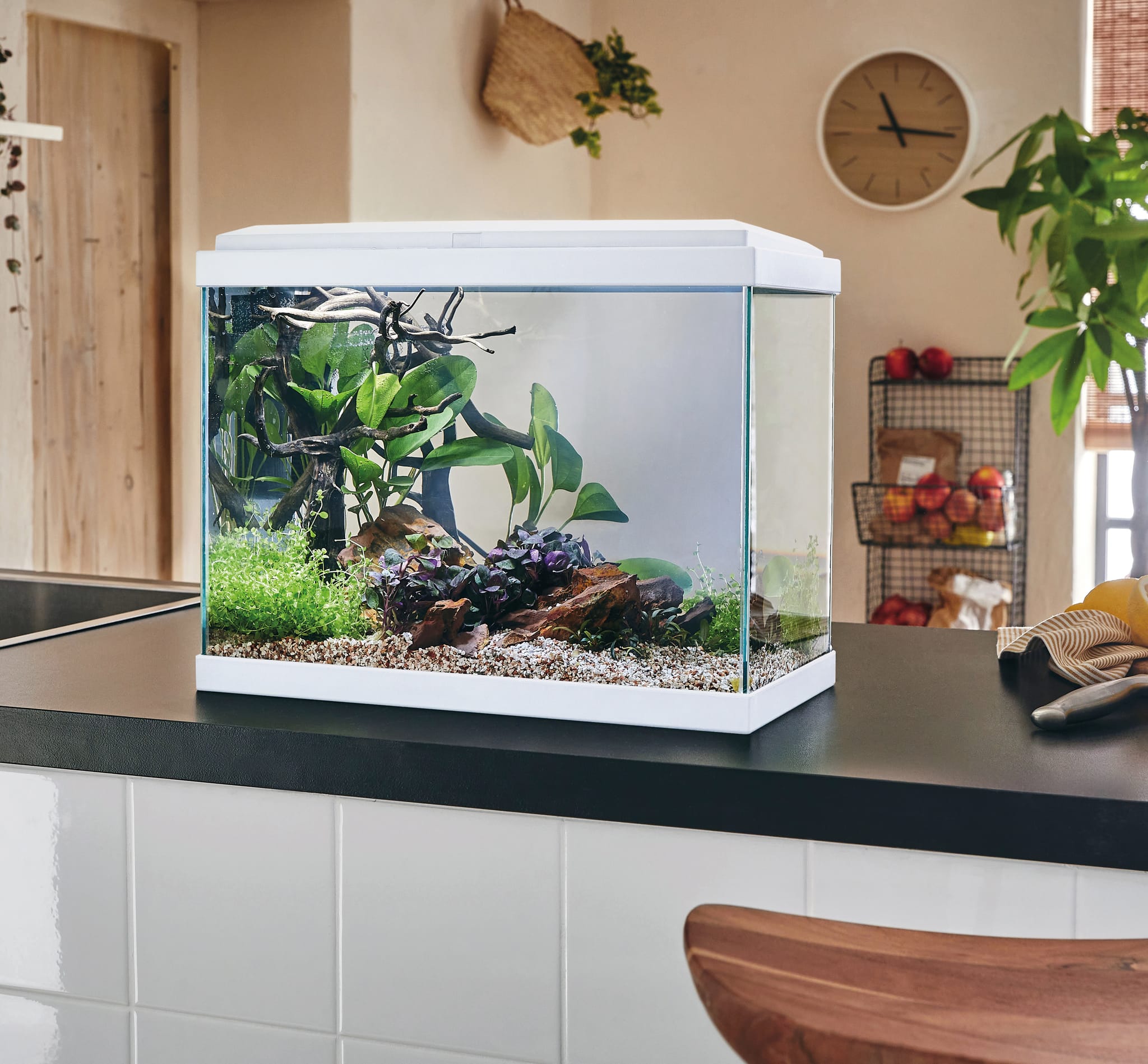 Aquarium pour poisson Fresh 40 blanc 20 L - Pure Family