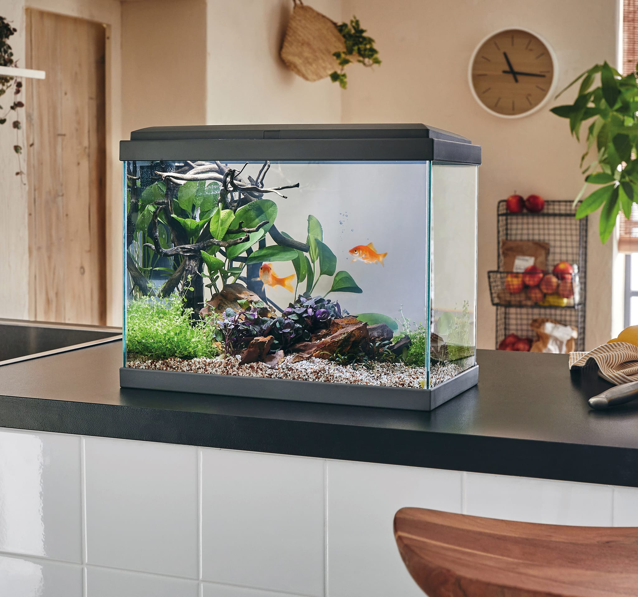 Aquarium pour poisson Fresh 40 gris 20 L - Pure Family