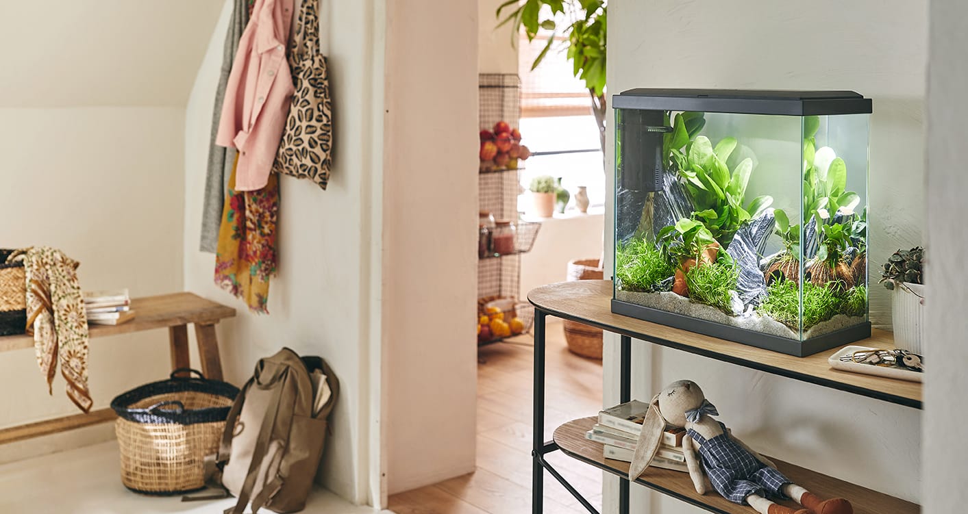 Aquarium pour poisson Fresh 40 XL Led gris 25 L - Pure Family