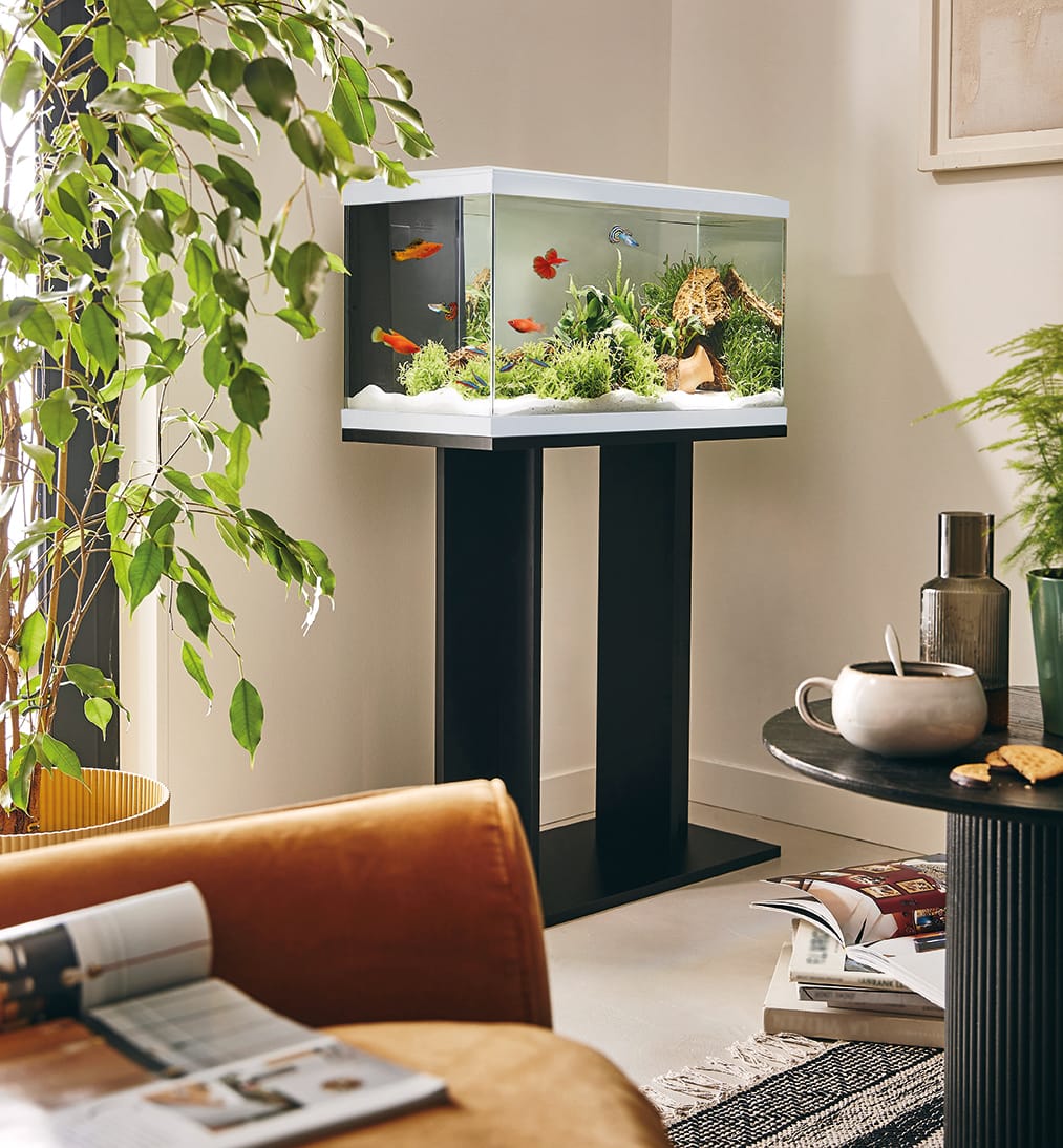 Aquarium pour poisson Tropical Pur 60 blanc 48 L - Pure Family